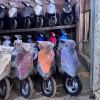 درجات كهربائية • اكزز منغولي • ناصريه حمام الحيدري