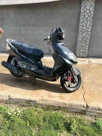 سكنس فحل 600وبيه مجال. 07729651908