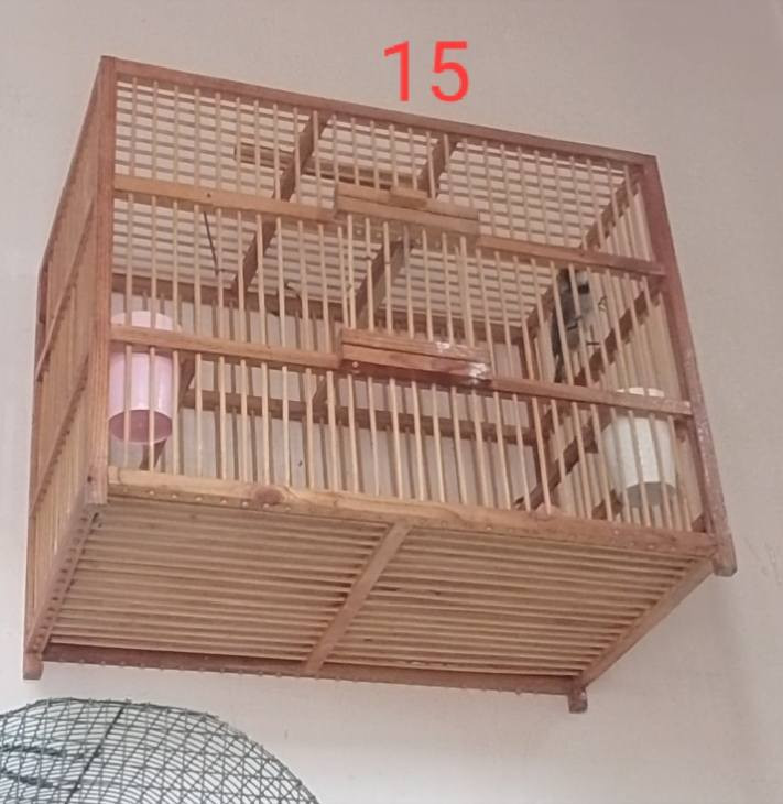 متاح أقفاص نظيفه أخو الجديد السعر عل صور شراي خابرني
 ***********
مكاني كركوك
