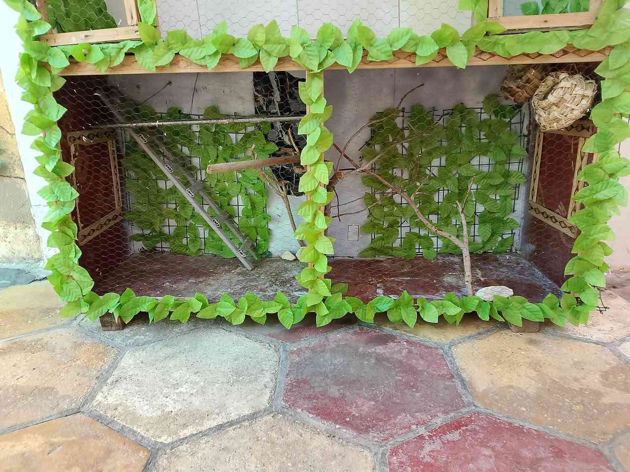 للبيع. قفص تسكام خشب قوي مرتب طابقين يصير ويصير ينفصل عادي يرهم  مثل ماواضح بلتصوير   رايده ب75 وبي مجال ‏‪0782 334 8060‬‏
