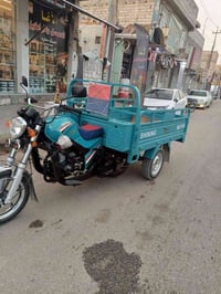 ستوته • كارتون • كربلاء