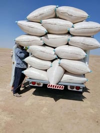 تبن • سنة • سكران الغربي