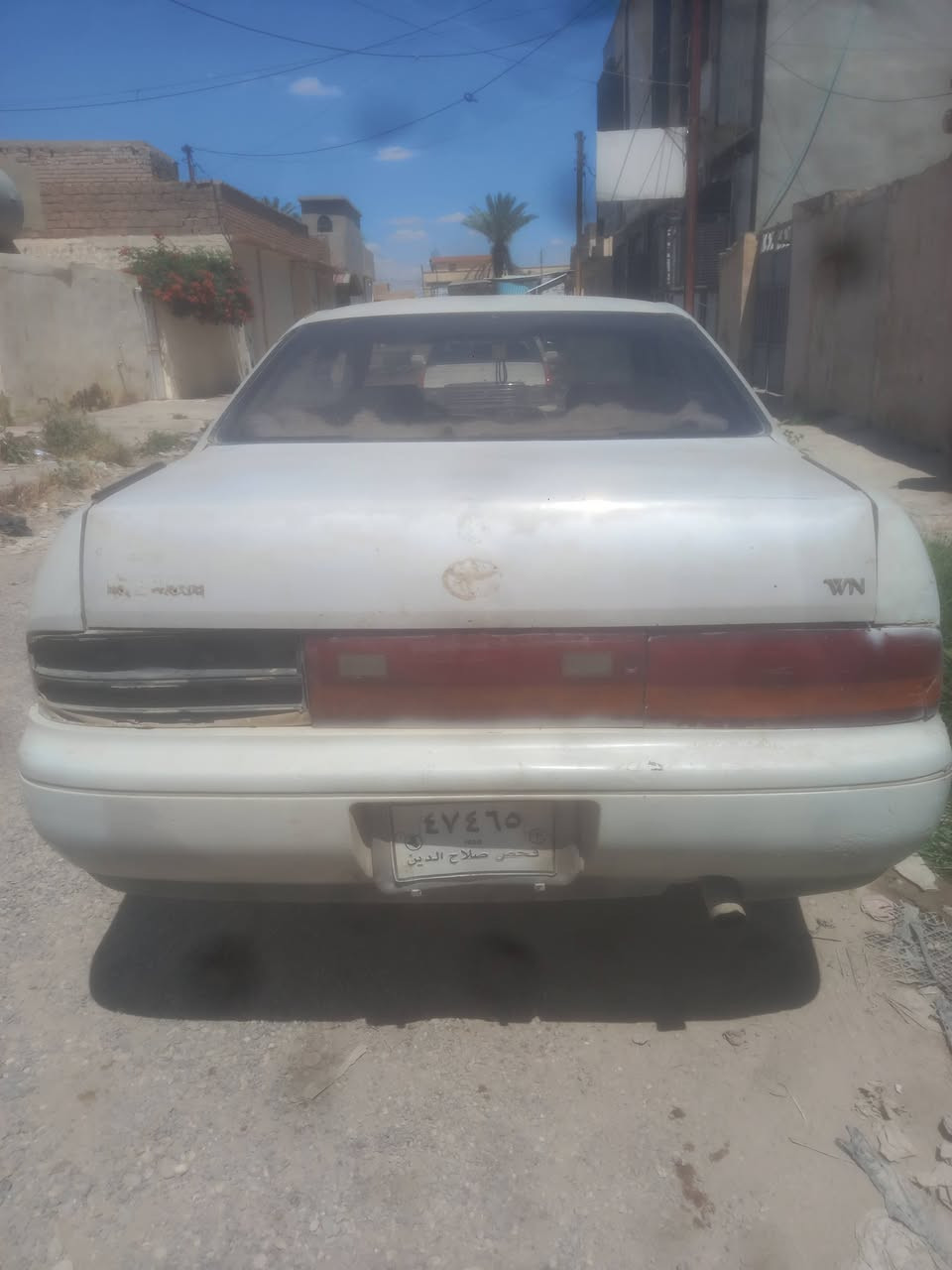 مكلف بنشر بطه مسجلة صلاح الدين السعر ٢٥ ورقة وبيها مجال ومراوس هم يرهم ***********م
