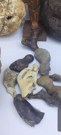 نوادر • معطف سلطاني • مروكب سلطاني