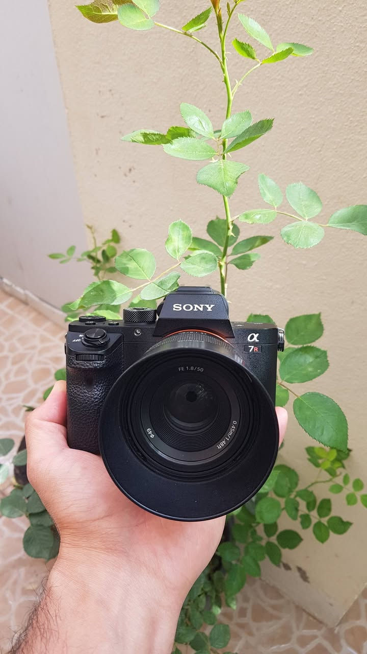 Sony A7R2 with 50mm lens 1.8
للبيع فقط 
كاميرا سوني a7r2 مع عدسة ٥٠ملم الثابت ١.٨ عزل ممتاز 
كاميرا معروفة 
٤٢ ميكابكسل.. فيديو 4k .. فوكس سريع تتبع الوجه و العين .. ٣٩٩ نقطة فوكس 
نظافة ٩٩% 
شتر  40k 
كارتون ماكو 
شراي يتفضل خاص.


**إذا كنت صاحب هذا الإعلان وتريد حذفه لأي سبب، رجاءا أرسل رسالة إلى الدعم الفني**