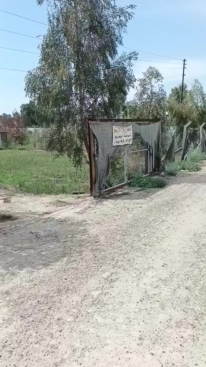 دونم وربع  لبيع ركن بضهر علوت الرشيد ***********
