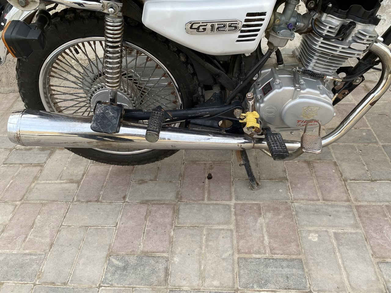 سلام عليكم صالنصه مراوس بكاتم 
لا فطر ولا خياس مثل ما بلصوره
عنوان واسط العزيزيه 
الاتصال *********** واتساب موجود
