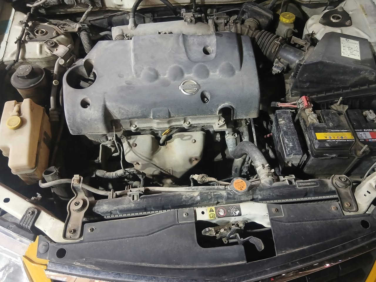 سلام عليكم نيسان وراد ياباني 2009رقم بغداد بسمي مصفره هيه وغرامات سياره جاهزه من كلشي  سياره مال جناي السعر 85 مراوس حسب قناعه العنوان بصره الاستفسار ***********
