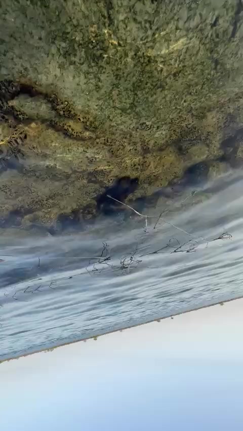 فرصة استثمارية ذهبية
***********
