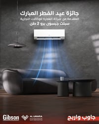 سبلت جبسون برو • ٢ طن • جائزة عيد الفطر