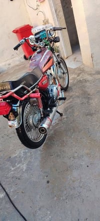 تايگر • ٢٠١٩ • مشدود ٢٠٢٥