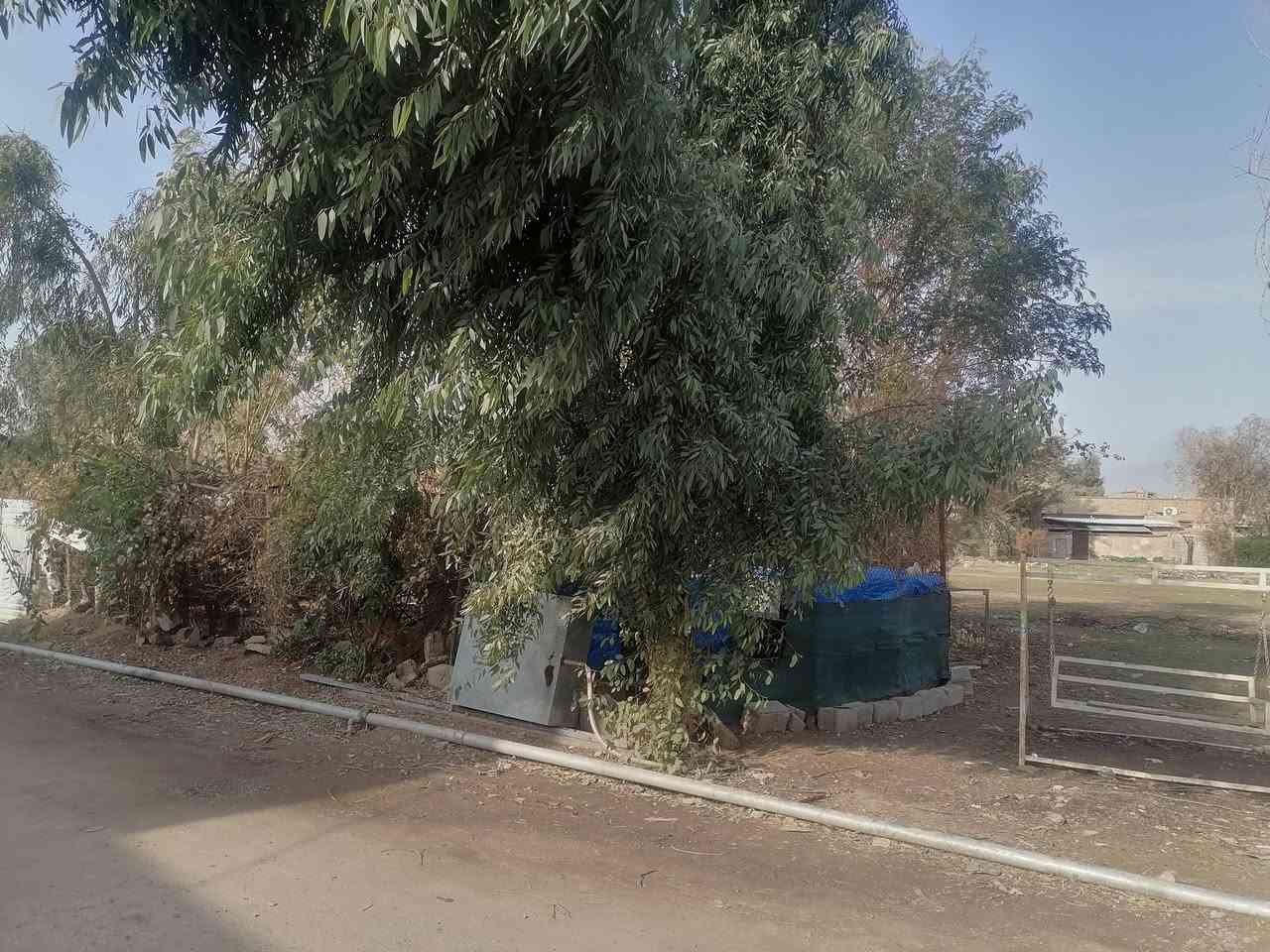 بيت للبيع في الشركه مقابيل المستوصف.
مساحه 190 
2 غرفه نوم 4في 4
هول حمام مع منزع 
ربعه 6 في 4 
مطبخ 5 في 4
حوش كراج توالبت خارجي 
خلفيه بيت مع مطبخ حار 
غرف سقوف ثانويه 
مطبخ سيراميك لحد السقف 
ربعه نصف حائط سيراميك 
ارضيه صبه 
سطح ثاني فوق البيتونه
مساحه ترك امام المنزل حديقه
للاستفسار ***********
