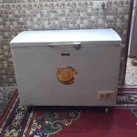 مجمدة كونكورد • تجميد فول • بابل الشوملي