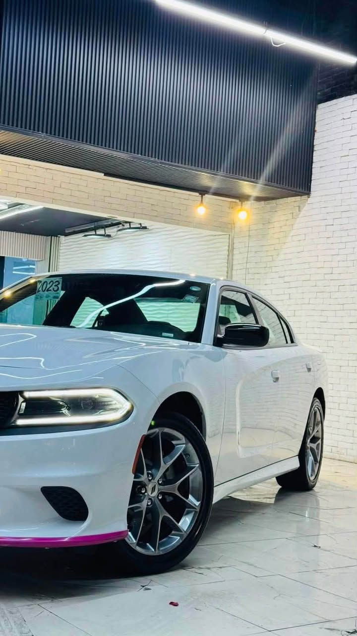 جارجر 2023 gt كلين  مكفوله عدى بارد جاملغ امامي بدون فتح حته دعاميات كفاله بعده بوضع الشركه
 سياره جديده جدا بدون شخوط بدون رصعات جاهزه وماشيه 53  رقم اربيل باسمي تحويل ثاني سنويه هزه كله جديد
مكينه 3600 تو ويل
مواصفات
سوبر تراك باك
كشنات حضن
شفتات ستيرن
مرايه اوتودم
حساسات خلقيه وبقيه مواصفات معروفه
السعر 283 وبيه مجال
مكاني كوت
***********
