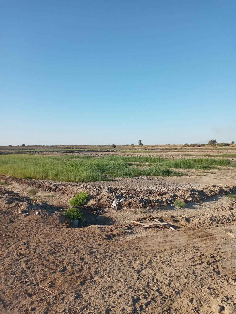 السلام عليكم ١٠ دونم للبيع كاع ال الوشاح خلف السكه القطار..قريبه إلى حي العسكري..سعر الدوام الواحد ١٠مليون وبي مجال قليل٣٥٦٢١  ٠٧٨٣٢٨


**إذا كنت صاحب هذا الإعلان وتريد حذفه لأي سبب، رجاءا أرسل رسالة إلى الدعم الفني**