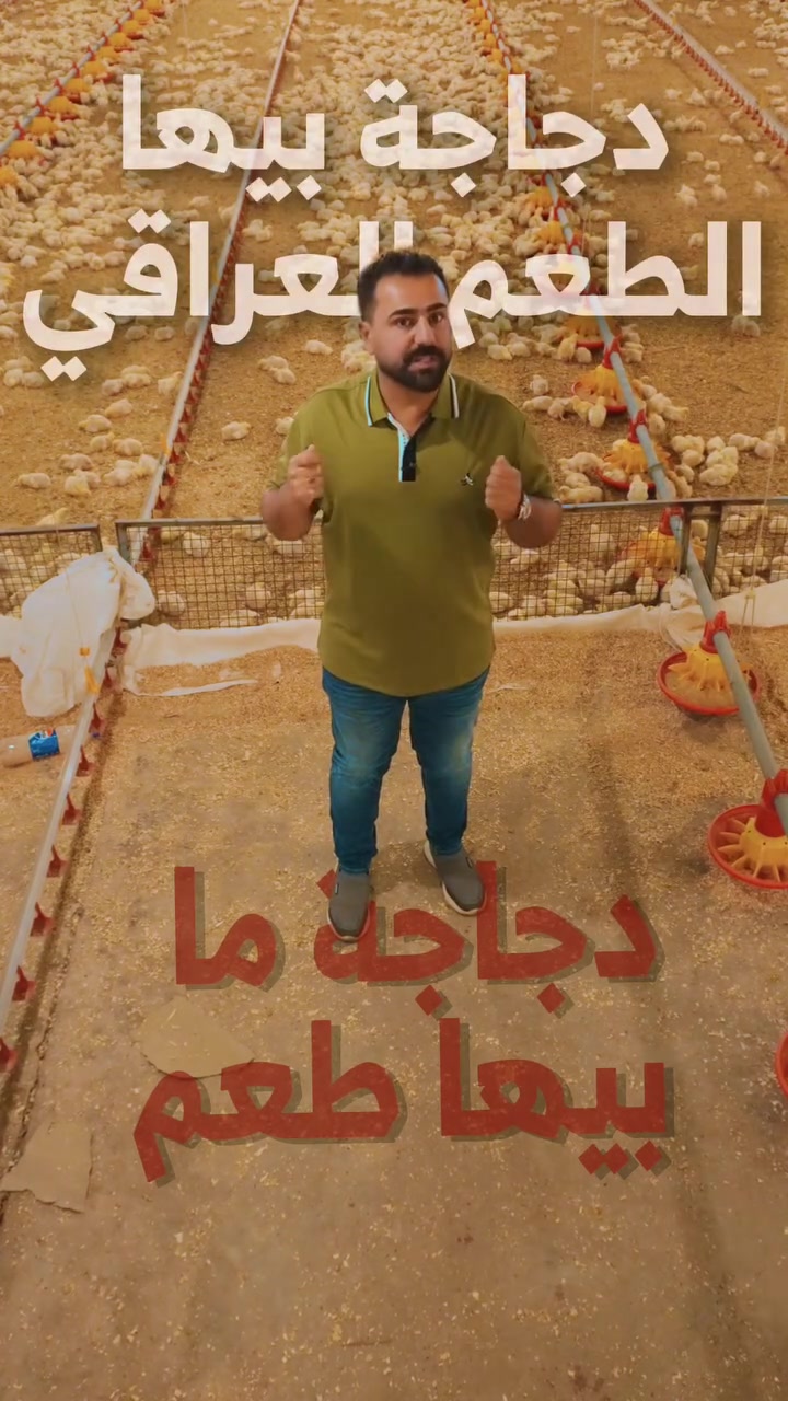 هذا خير العراق .. وهاي خيرات بابل 🐥🐣🐔 

#دجاج_الخضراء 
#عراقي_والطعم_راقي 
#شركة_روعة_الخضراء_للدواجن_والأعلاف_والتجارة_العامة


**إذا كنت صاحب هذا الإعلان وتريد حذفه لأي سبب، رجاءا أرسل رسالة إلى الدعم الفني**