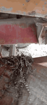 ابو ردين ٧٩ • مكينة ٨٦ • شاصي طويل