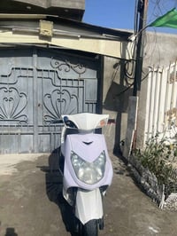 سكنس فحل • حك • للبيع