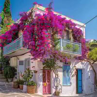 حي الماشطه الثانية • ٢٧٠م • طابو ملك صرف