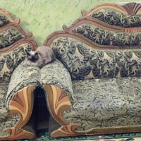 قنفات • للبيع