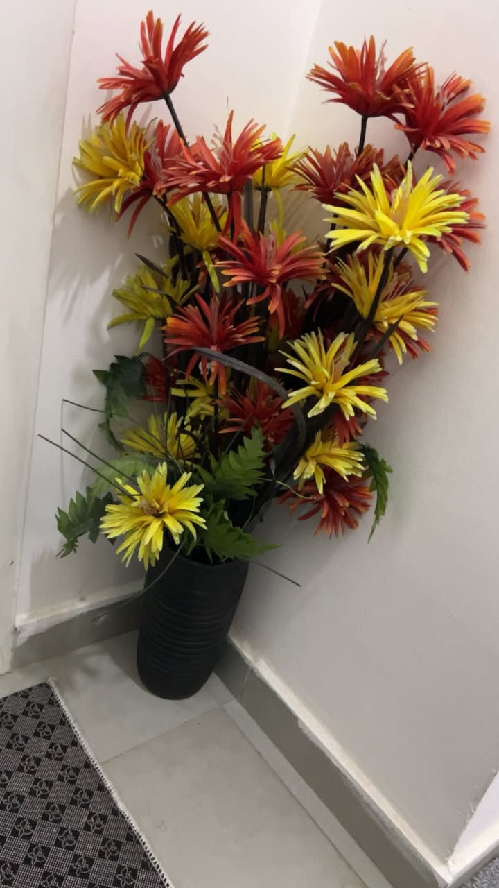 غراض للبيع


**إذا كنت صاحب هذا الإعلان وتريد حذفه لأي سبب، رجاءا أرسل رسالة إلى الدعم الفني**