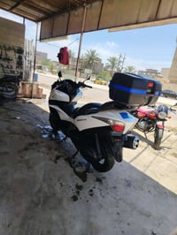 جيتي • ٦٠٠ • مكفول