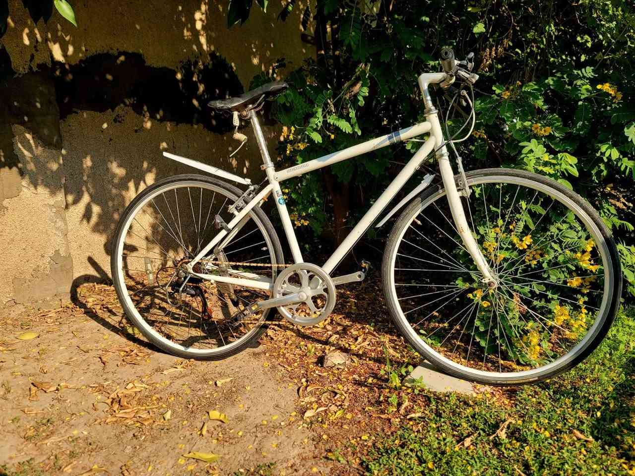 بايك رياضي اخو الجديد لون مميز  حجم 28
اصلي باله كسر حاويه 
غير مستخدم بالعراق
جاهز بدون اي نقص 
الكير (6) نمره شيمانو اصلي المكان بغداد حي الجامعة 
السعر 135 الف  
هاتف *********** ونفسه واتس اب و ***********
