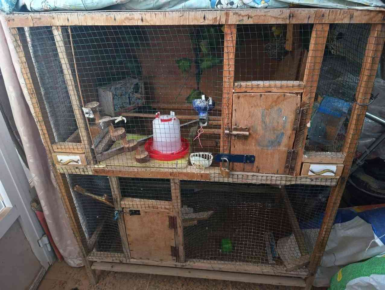 قفص للبيع بدال 40 سويته ب 25 الف فقط 
عنواني ناصرية المركز 
***********
