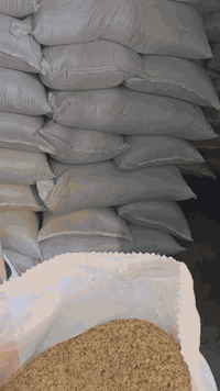 #قشور_التمن ( #السبـــوس ) 🌾🌾  
تستخدم كأرضية ممتازة للحيوانات وتمتاز بسرعة امتصاص للرطوبة (الامونيا) ، التي تسبب عادةً امراض  مزمنة كالتنفسية والكوكسيديا ، ويكون نظيف جداً عكس النشارة التي تحتوي على خشب ناعم مما يزيد من التهابات وتهيج القرنية العينية في الطيور والدواجن 👁️  
[ وزن الكيس 8-11 كيلو ]
🔴سعـر الكيـــس ( 4 الاف ) 
🔴سعـر الكيسـين ( 7 الاف ) 

العنوان : بغداد / الشعب   
الرقـم : ***********  📞  
توصـيل لكل المحافظات
يعني كيسين مع التوصيل 12 الف 
الي حاجز بس يذكرني بالحجز مالته 💛💛
