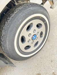 تخم 14 • مراوس • منغولي