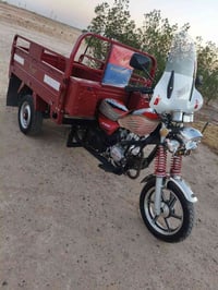ستوته • مكمركه • ٢٠٢٢