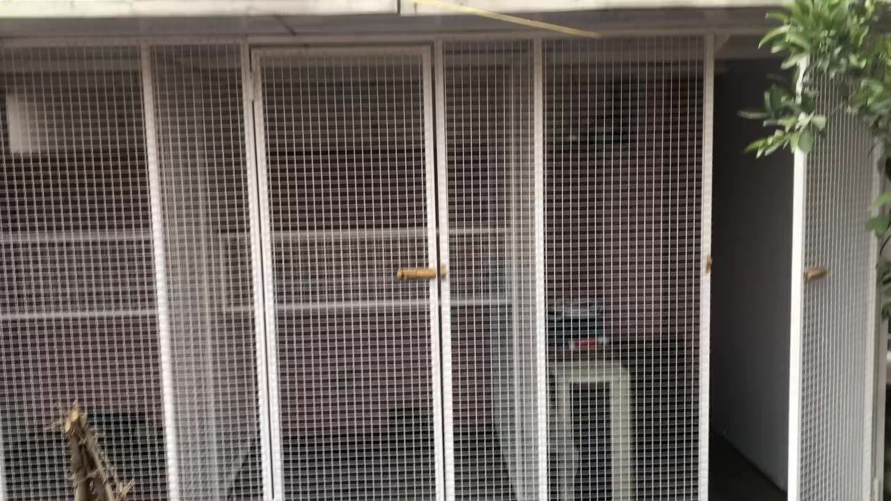 سلام عليكم
متاح قفص نظيف مثل ماواضح السقف سندويچ والأطراف ايضآ سندويچ الواجهة سيم بي ارسي من نوع القوي موخفيف القياس الطول 266 العرض 4 مقسم 3 خانات وبي حاضنات حديد السقف 5 ملم السعر خاص تحياتي


**إذا كنت صاحب هذا الإعلان وتريد حذفه لأي سبب، رجاءا أرسل رسالة إلى الدعم الفني**