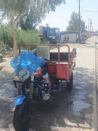 ستوته • ٢٠١٤ • اوراق كامله