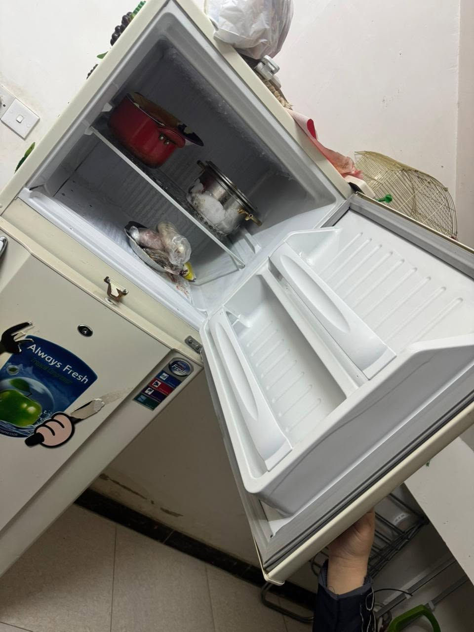 لبيع ثلاجه فصتل+مجمدةحجم صغيرهيتاشي ليريدهن يطب خاص


**إذا كنت صاحب هذا الإعلان وتريد حذفه لأي سبب، رجاءا أرسل رسالة إلى الدعم الفني**