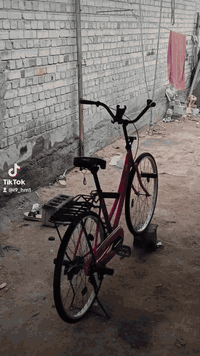 باسكل اسود • بيع/مبادلة • نجف حي