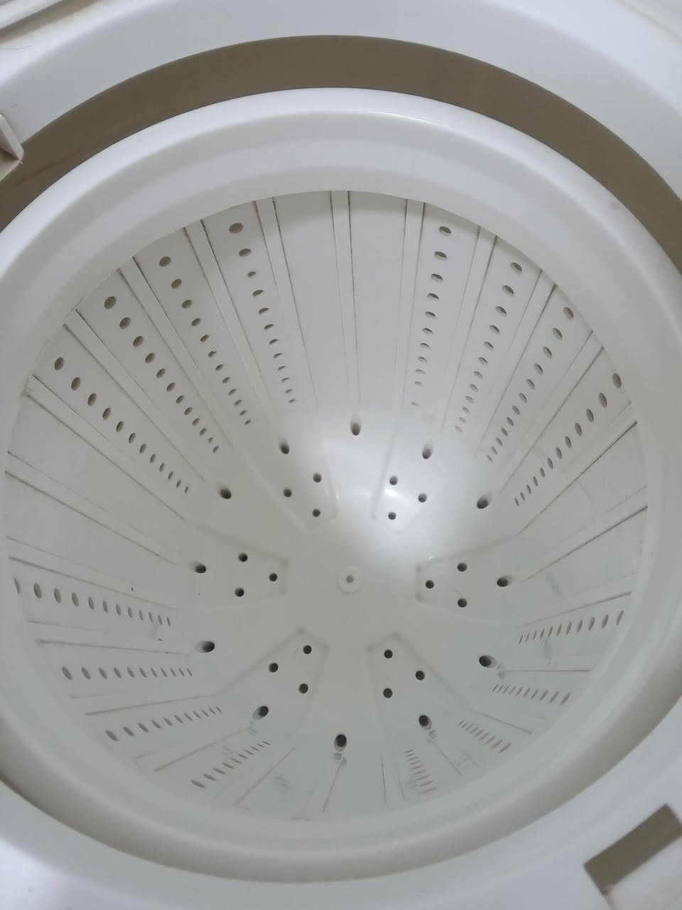 غساله جديدة صاله 4 أشهر عندي جديدة ما بيها كالشي سعر 125


**إذا كنت صاحب هذا الإعلان وتريد حذفه لأي سبب، رجاءا أرسل رسالة إلى الدعم الفني**