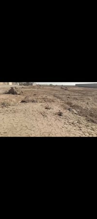 نص دونم • واجهه ١٥م • ٥٠٠م شارع الزوار