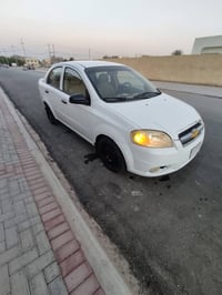 افيو • ٢٠١٣ • مسكر سنوية ٢٠٢٦