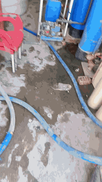 منظومة ماء • خزانات ٥٠٠٠/٣٠٠٠/١٠٠٠ • ماتور ١ حصان