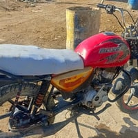 بوكسر كلاسيك • 4 قير • بدون أوراق