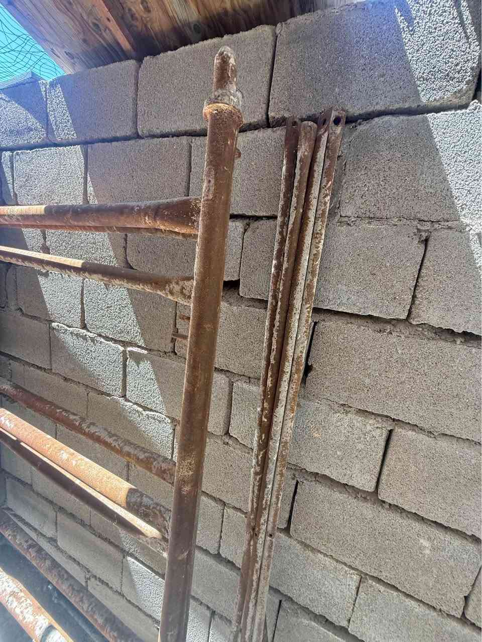 شوفتكم عينك وعارضهم للبيع خلي سعر من يمك بالتعليقات 
وانا أجاوبك الزبير, البصرة


**إذا كنت صاحب هذا الإعلان وتريد حذفه لأي سبب، رجاءا أرسل رسالة إلى الدعم الفني**