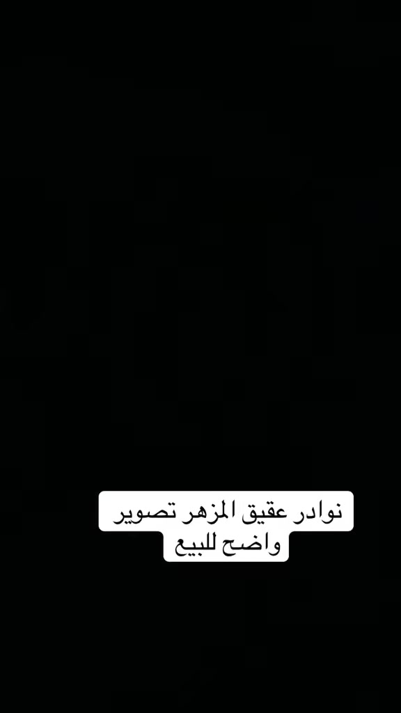السلام عليكم عندي حجار عقيق يماني مزهر ومصور تصويرهم واضح  56 قطعه  لي يريدهن جمله حسب القطعه عل 3 الف دينار


**إذا كنت صاحب هذا الإعلان وتريد حذفه لأي سبب، رجاءا أرسل رسالة إلى الدعم الفني**