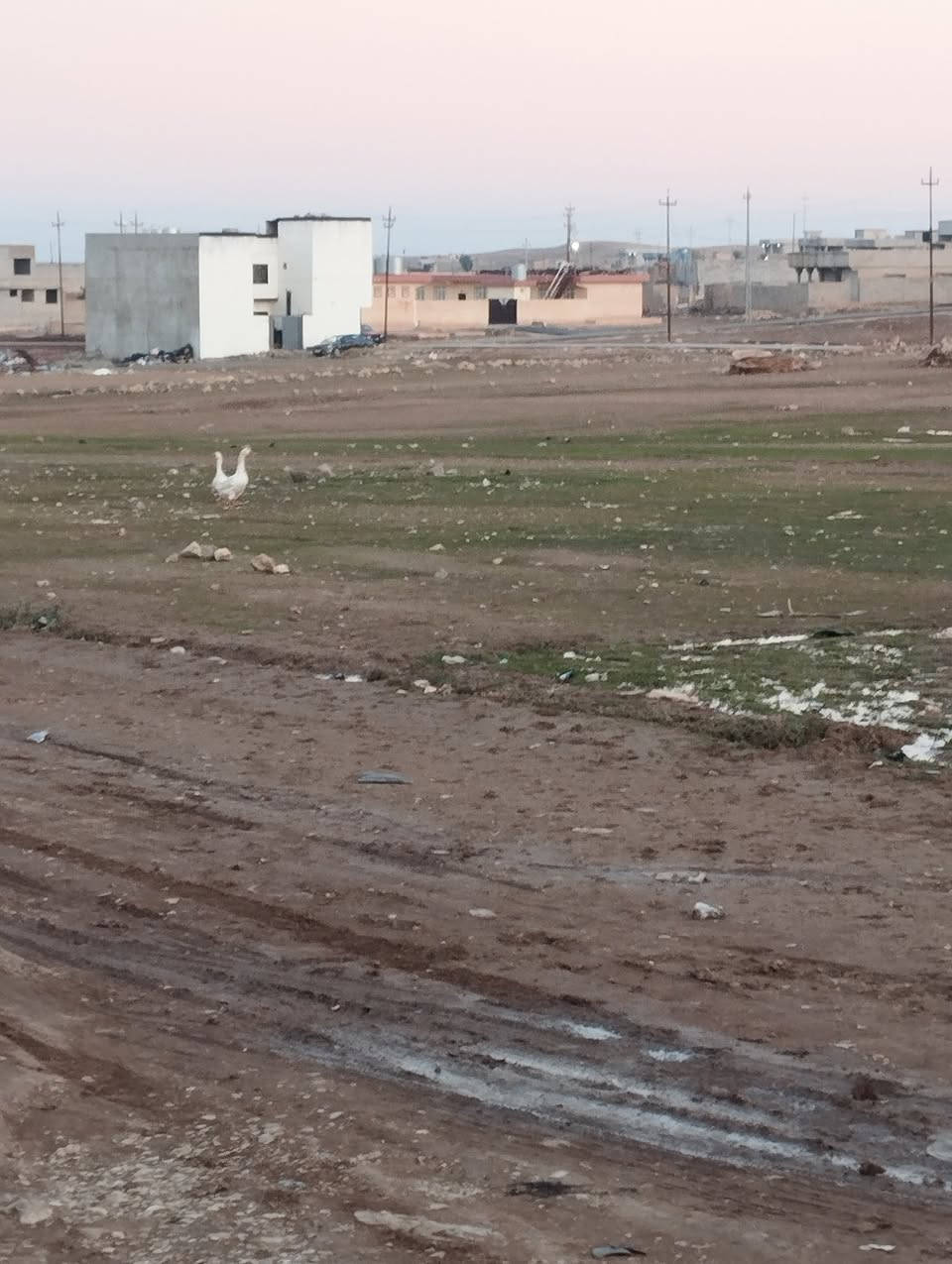 مكتب الحمزة للعقار
للبيع قطعة ارض زراعي ركن مساحه 950م خدمات كاملة مي وكهرب وتبليط ومدرسة مستوصف قرية النخوة خراب الكبير السعر 35 مليون للاستفسار ع رقم المكتب أو ع واتساب 
***********
***********
