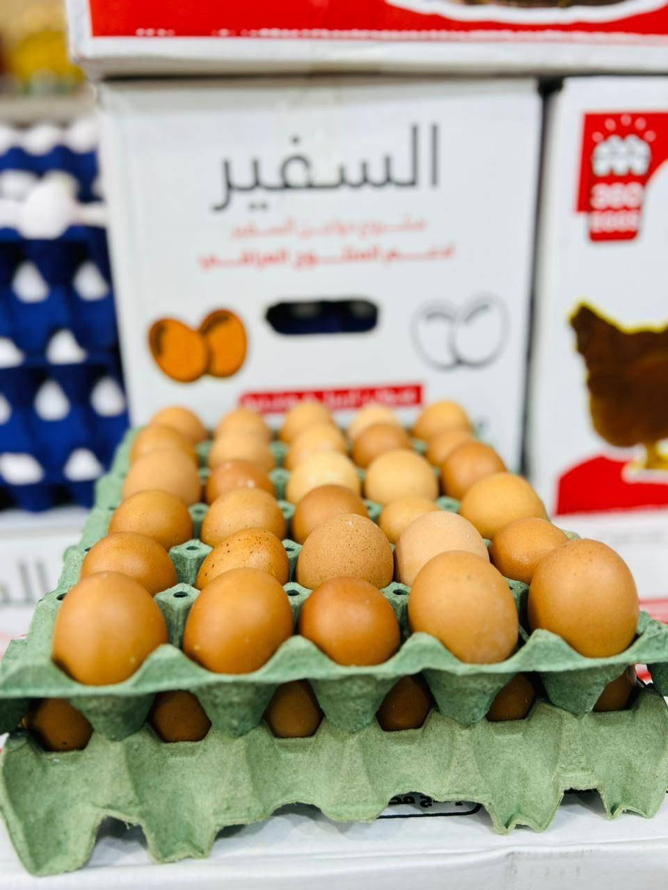 يالله عروض اليوم بيض يم اسواق الجوادين نورونا وكل الهلا بيكم


**إذا كنت صاحب هذا الإعلان وتريد حذفه لأي سبب، رجاءا أرسل رسالة إلى الدعم الفني**