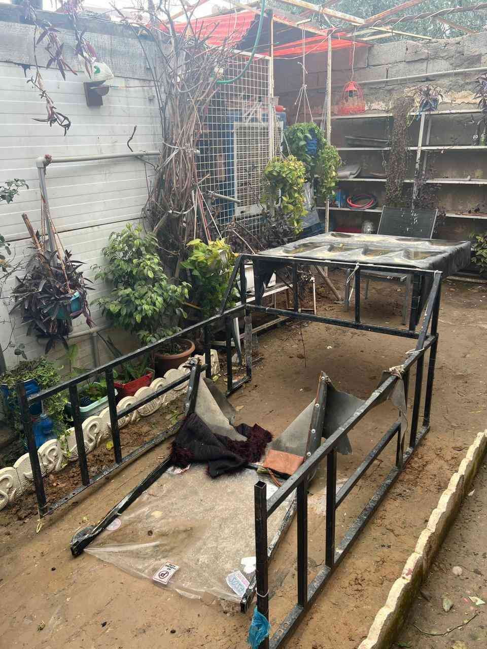 سلام عليكم ورحمة الله وبركاتة شباب عندي جنج للبيع السعر 65وبي مجال قليل المكان كركوك واحد حزيران للتواصل ***********
