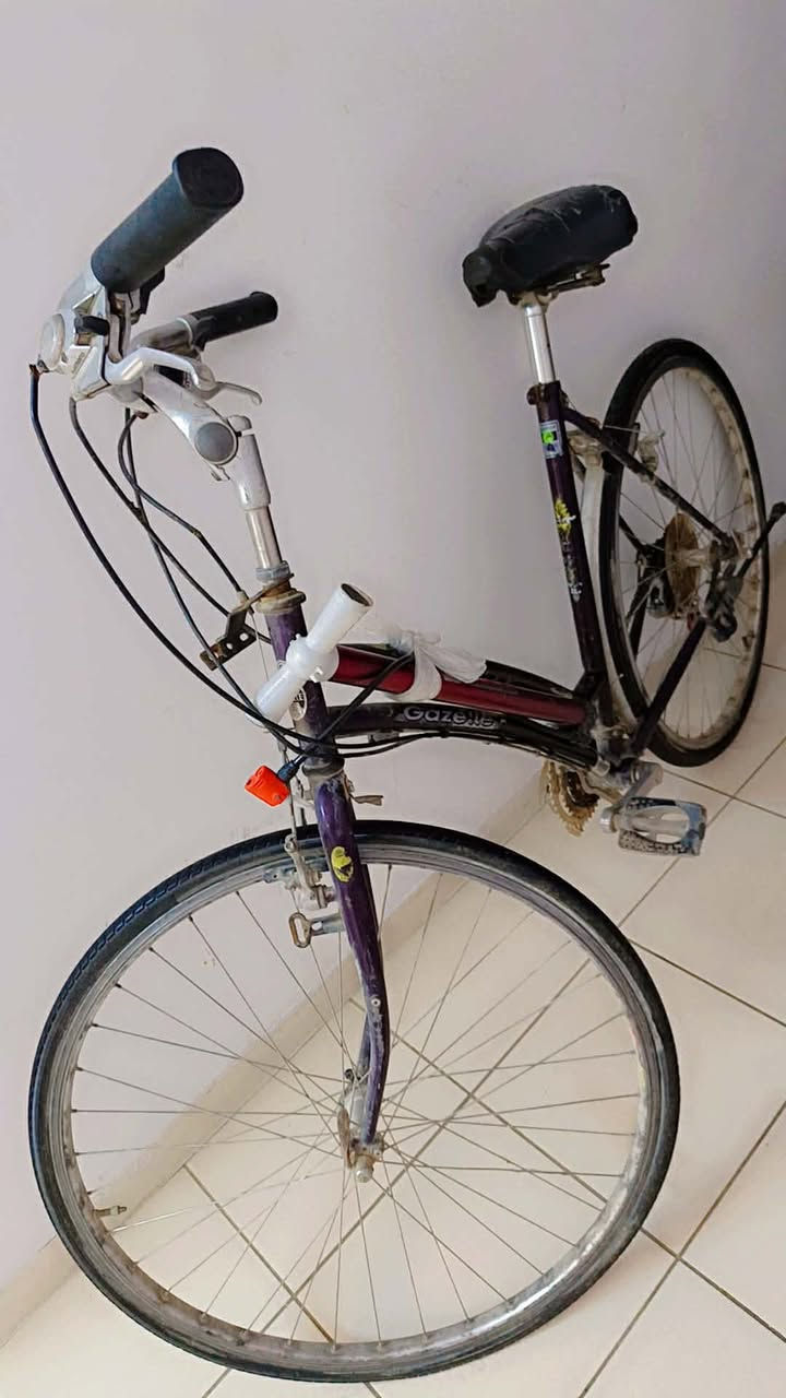 بايسكل اي خلل ما بي  حجم كبير  
ب ٦٠ الف وبي مجال 
للاستفسار مراسله خاص


**إذا كنت صاحب هذا الإعلان وتريد حذفه لأي سبب، رجاءا أرسل رسالة إلى الدعم الفني**