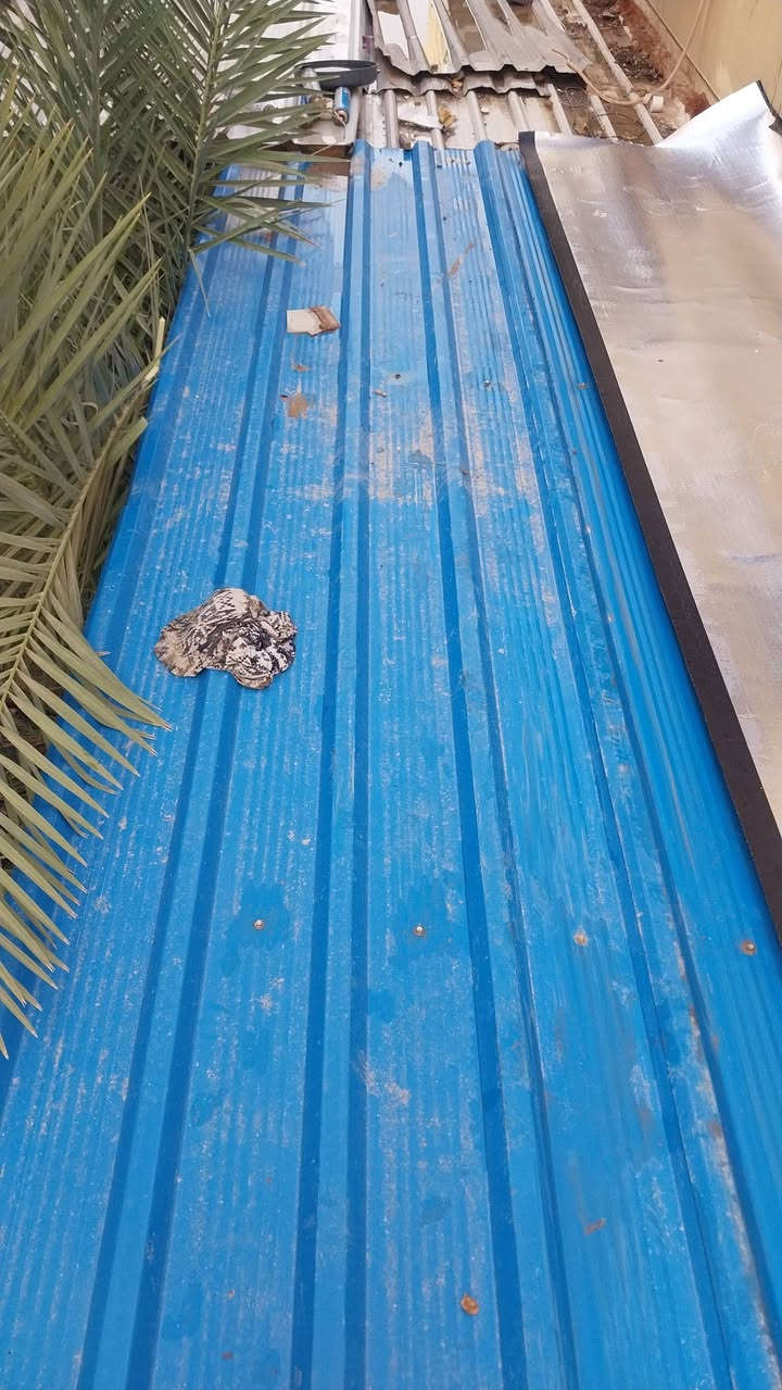 نعمل شغل سطوح 🏪
ماستك زفت ايزكام

شربت وصب البيتونه

تفليش دكت وصب

تبديل مرازيب

 

شغل  درجه اولى 🌧🌧

مع ضمان 💯💯

 ***********
علي الجشعمي
