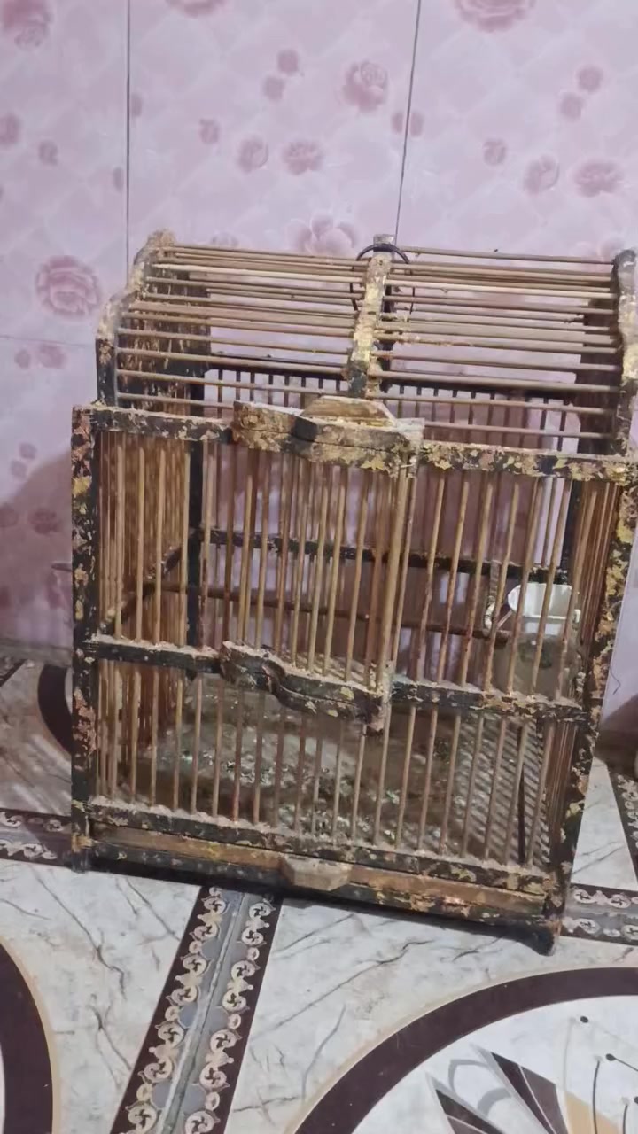 قفص للبيع ديكور السعر 10 قفل


**إذا كنت صاحب هذا الإعلان وتريد حذفه لأي سبب، رجاءا أرسل رسالة إلى الدعم الفني**