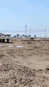 الديوانية السنية • عرصة ٣١٠م • واجهة ١٥٫٥م