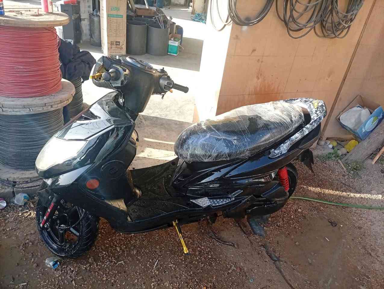 سكنس فحل للبيع السعر 600 وبي ومجال مكان الفلوجه الحلابسه مكينه مفتوحه مجفته تزويدات بي حلوه رقمي
***********
